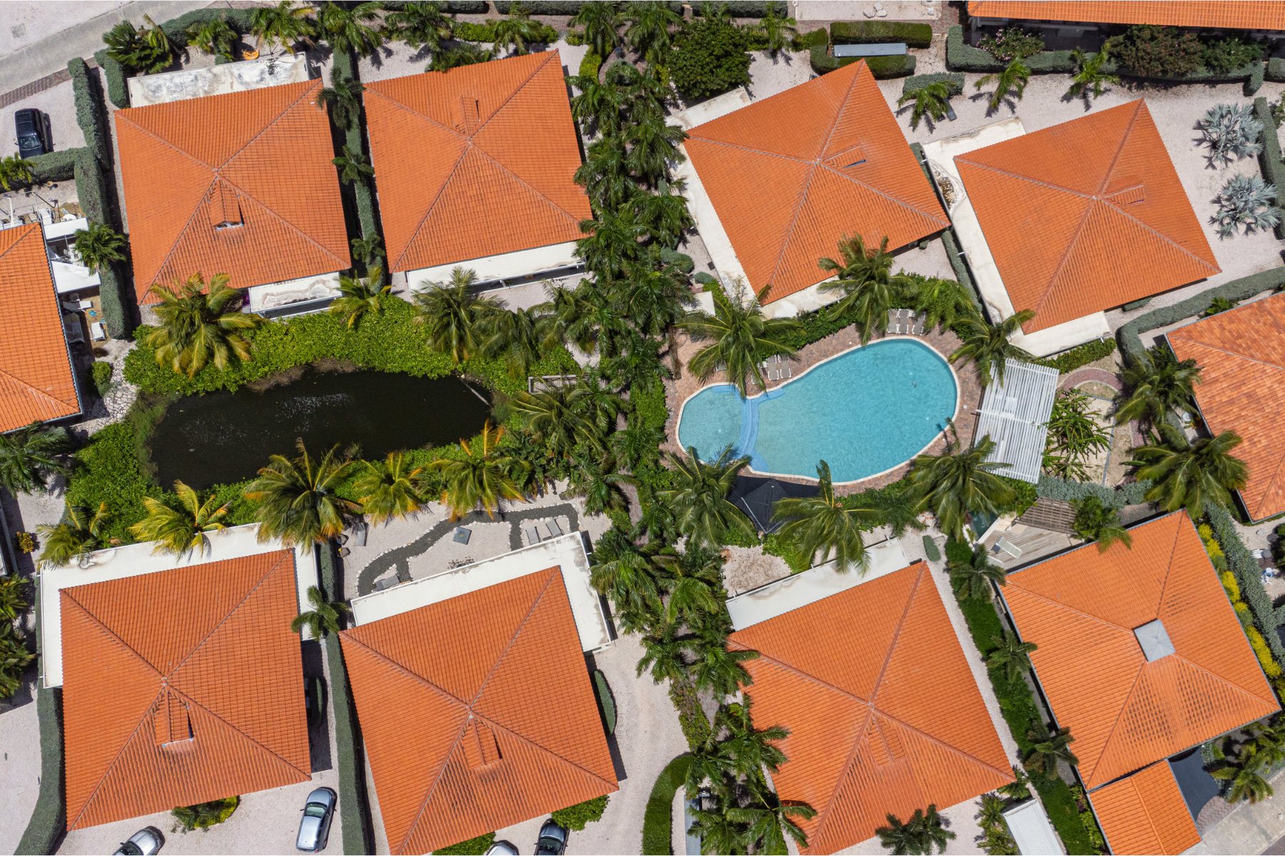Drone-overzicht van resort Vredenberg met zwembad en palmen — Curaçao