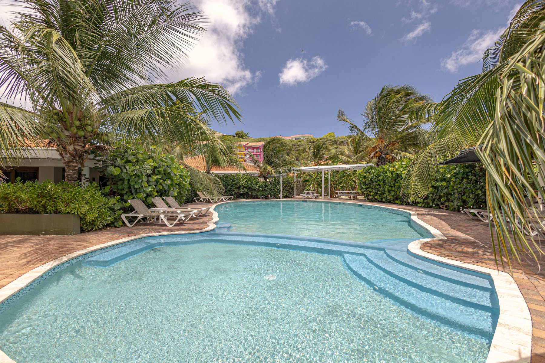 Resort zwembad met palmen en blauwe lucht — Vredenberg Curaçao